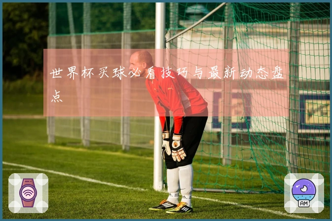 世界杯买球必看技巧与最新动态盘点