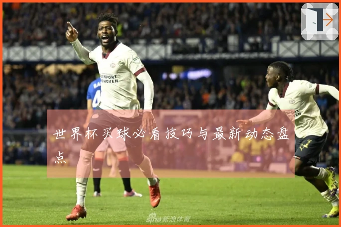 世界杯买球必看技巧与最新动态盘点
