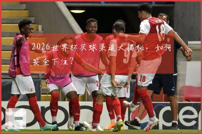 2026世界杯买球渠道大揭秘，如何安全下注？