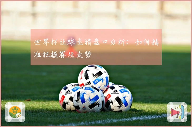 世界杯让球竞猜盘口分析：如何精准把握赛场走势