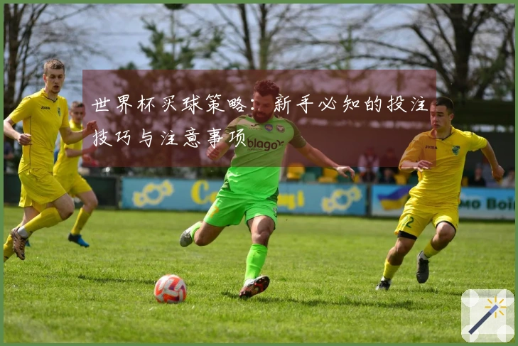 世界杯买球策略：新手必知的投注技巧与注意事项