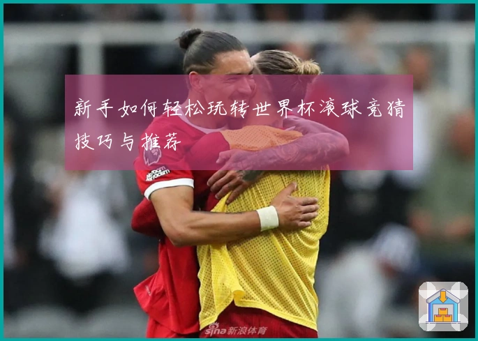 新手如何轻松玩转世界杯滚球竞猜技巧与推荐