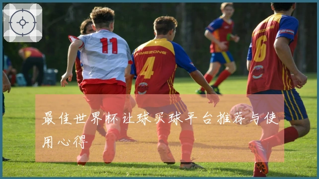 最佳世界杯让球买球平台推荐与使用心得