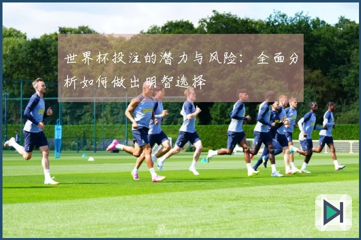 世界杯投注的潜力与风险:全面分析如何做出明智选择