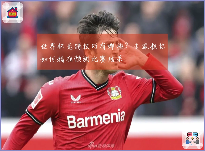 世界杯竞猜技巧有哪些？专家教你如何精准预测比赛结果