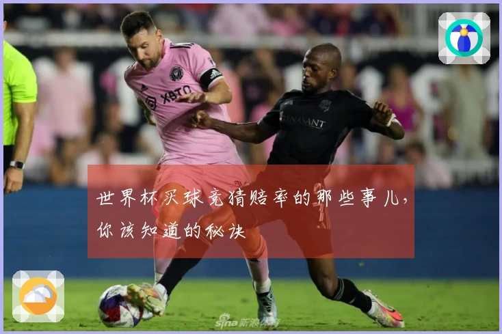 世界杯买球竞猜赔率的那些事儿，你该知道的秘诀