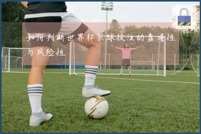 如何判断世界杯买球投注的靠谱性与风险性