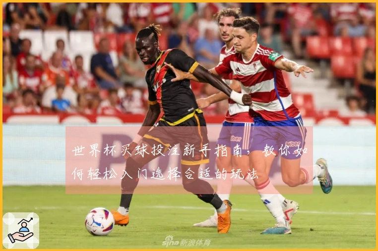 世界杯买球投注新手指南，教你如何轻松入门选择合适的玩法