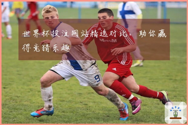 世界杯投注网站精选对比，助你赢得竞猜乐趣