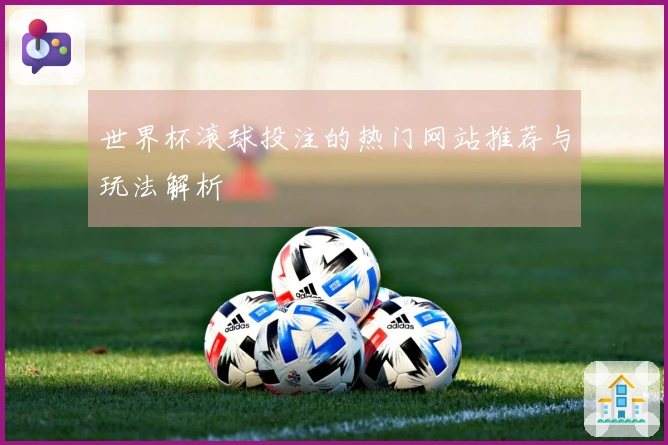 世界杯滚球投注的热门网站推荐与玩法解析