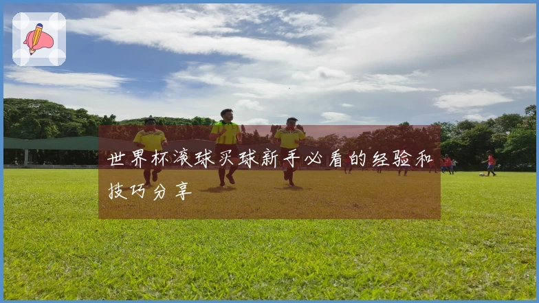 世界杯滚球买球新手必看的经验和技巧分享