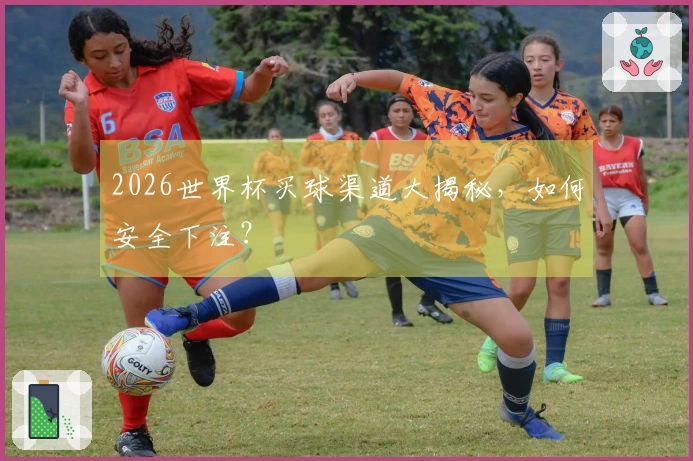 2026世界杯买球渠道大揭秘，如何安全下注？