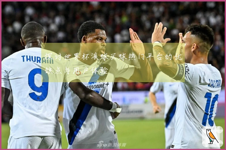 探讨世界杯滚球买球热门平台的优缺点与用户体验